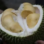 6 Lokasi Kuliner Pekanbaru Kekinian yang Menggoda Selera