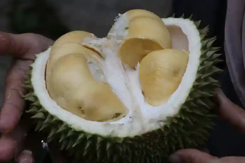 6 Lokasi Kuliner Pekanbaru Kekinian yang Menggoda Selera