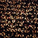 9 Cara Mendapatkan Beasiswa Kuliah, Dijamin Ampuh!